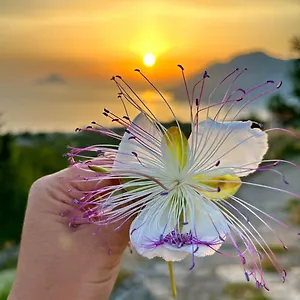 Casa Zoe Città di Lipari